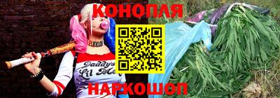 стаф Ставрополь