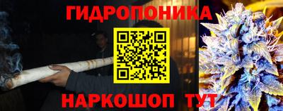 СК Старая Купавна