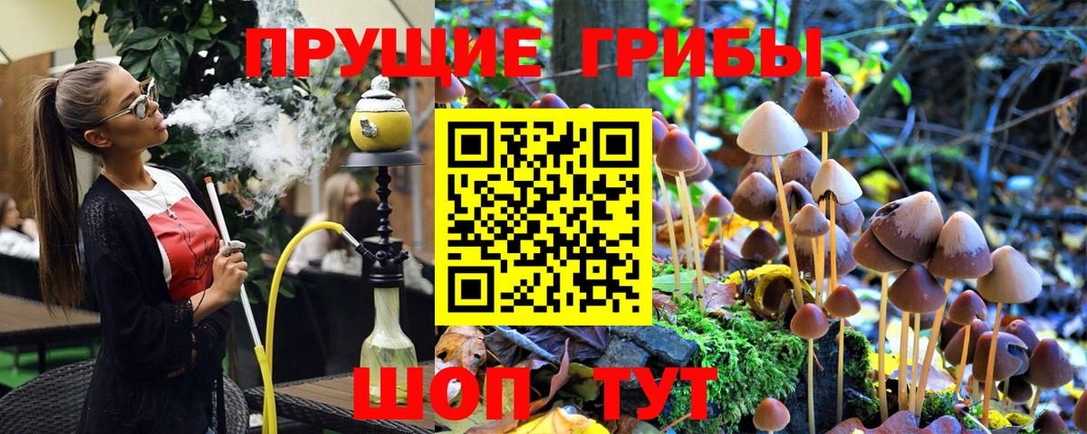 Нововоронеж  Галлюциногенные грибы MAGIC MUSHROOMS  купить  цена  Вход с VPN 